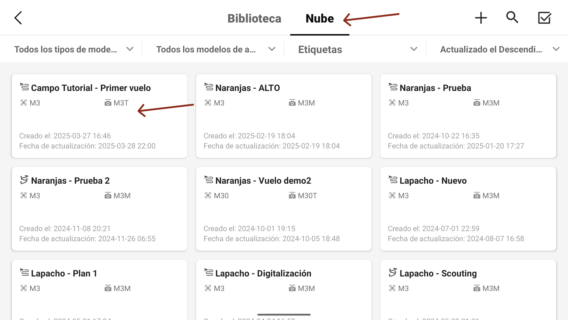 Descargar el plan de vuelo de Nube a Biblioteca