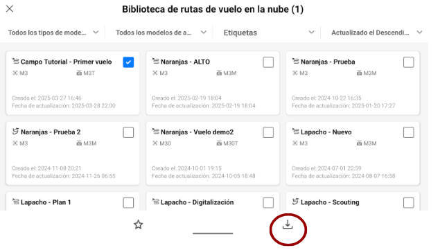 Descargar plan de vuelo