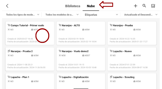 Seleccionar plan de vuelo